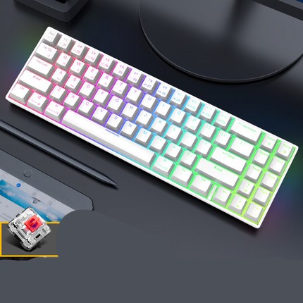 RK836 Bluetooth Wireless Mechanical Keyboard (71 Keys)
